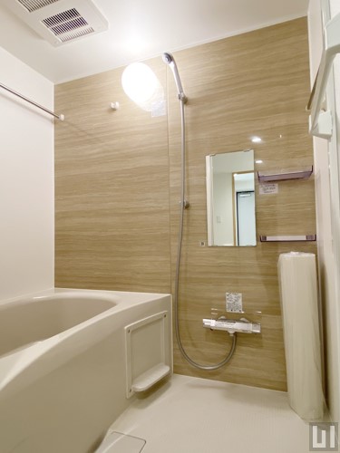 Dタイプ - バスルーム